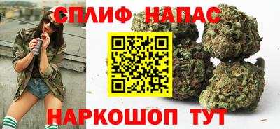 дмт Аша
