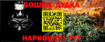 PSILOCYBIN Баксан