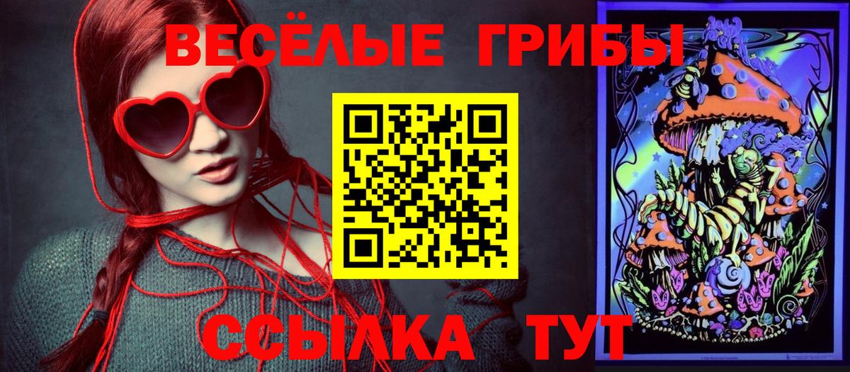 Псилоцибиновые грибы мицелий Горно-Алтайск