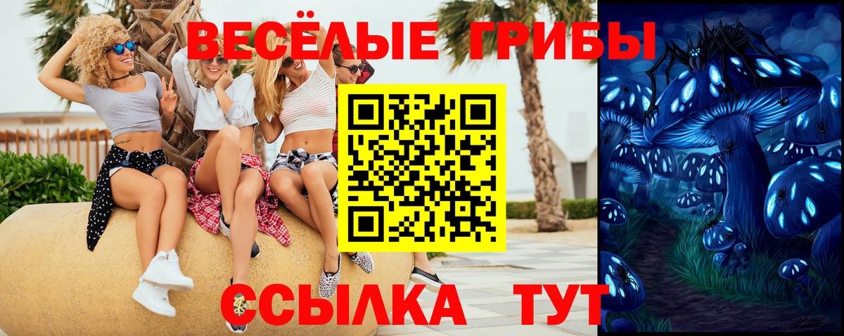 A-PVP СОЛЬ   Гашиш  Горно-Алтайск  Вход с VPN  ТГК  Мефедрон   Продажа наркотиков  COCAIN 