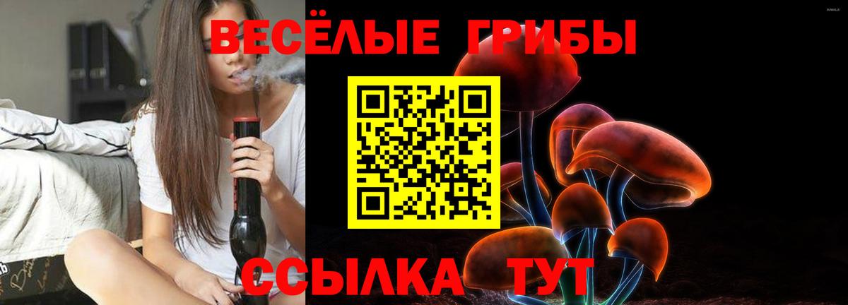 Горно-Алтайск  Псилоцибиновые грибы ЛСД  Вход с VPN  Псилоцибиновые грибы MAGIC MUSHROOMS 